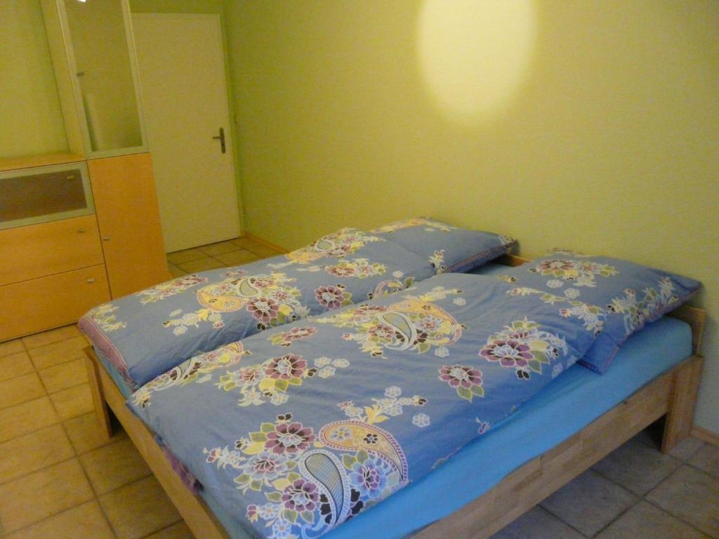Ferienwohnung Christa Bad Peterstal-Griesbach Oda fotoğraf