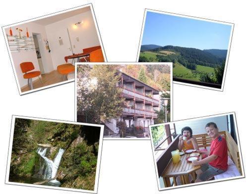 Ferienwohnung Christa Bad Peterstal-Griesbach Dış mekan fotoğraf