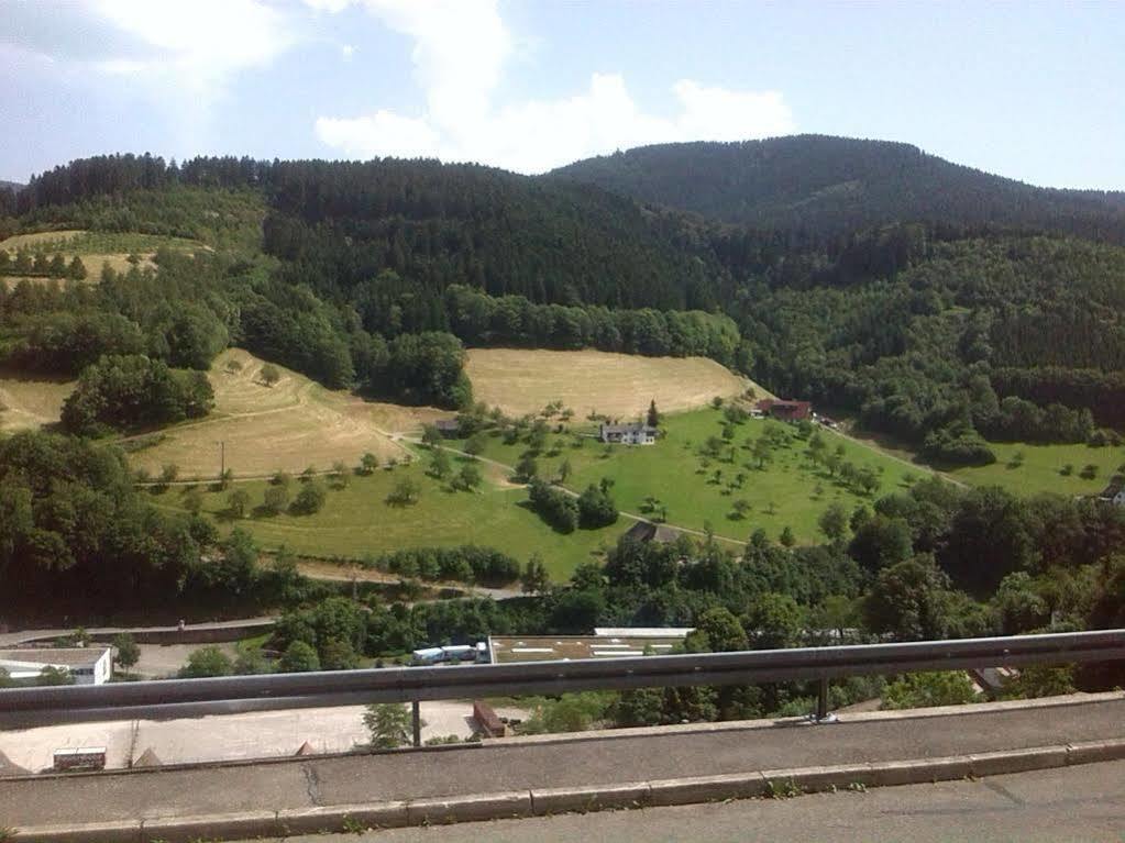 Ferienwohnung Christa Bad Peterstal-Griesbach Dış mekan fotoğraf
