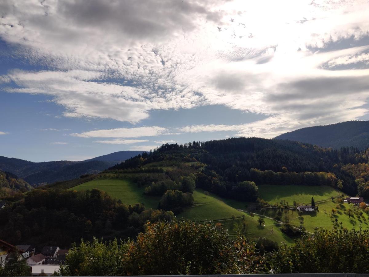 Ferienwohnung Christa Bad Peterstal-Griesbach Dış mekan fotoğraf