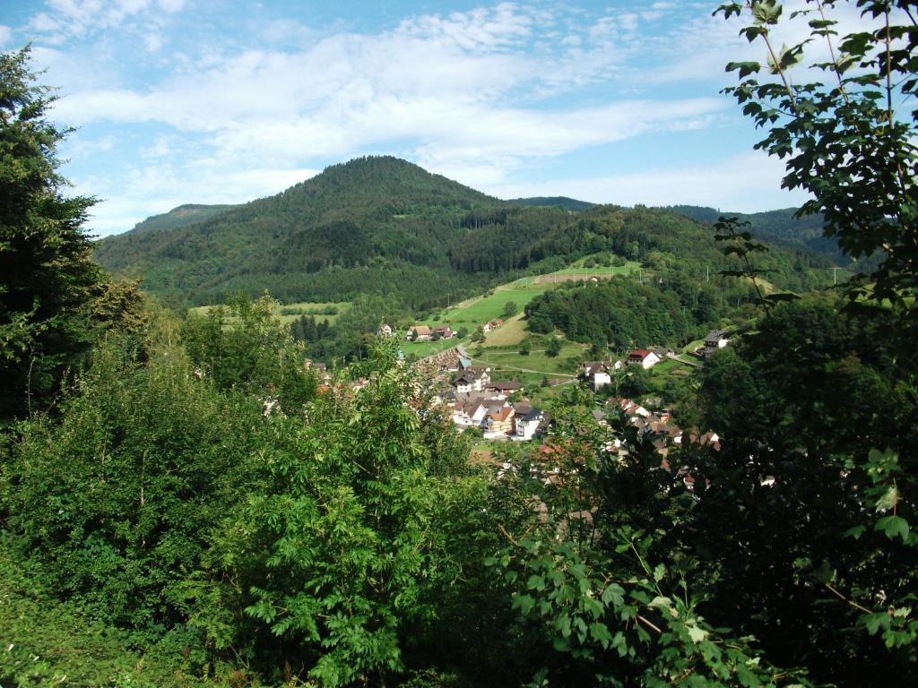 Ferienwohnung Christa Bad Peterstal-Griesbach Dış mekan fotoğraf